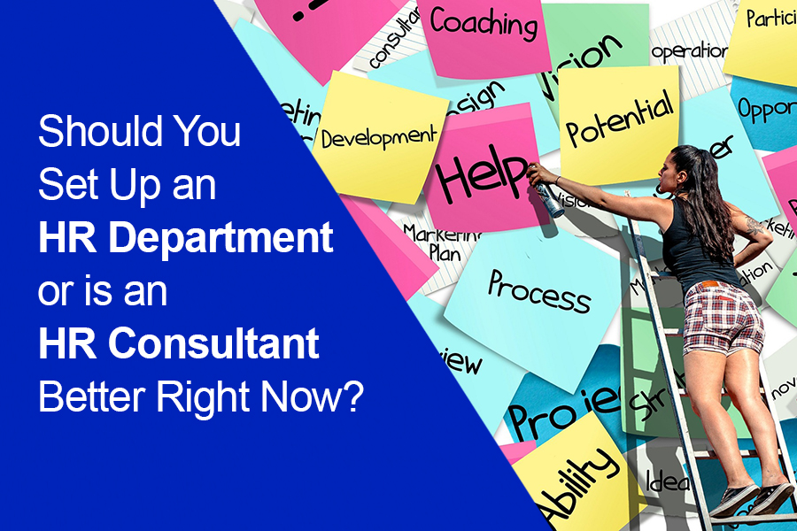 Should You Set Up an HR Department or is an HR Consultant Better Right Now