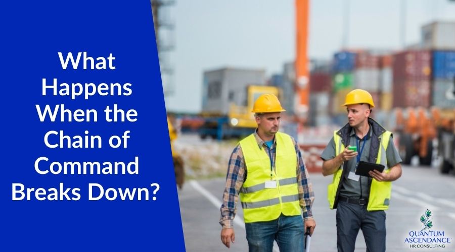 What Happens When the Chain of Command Breaks Down in Your Business?